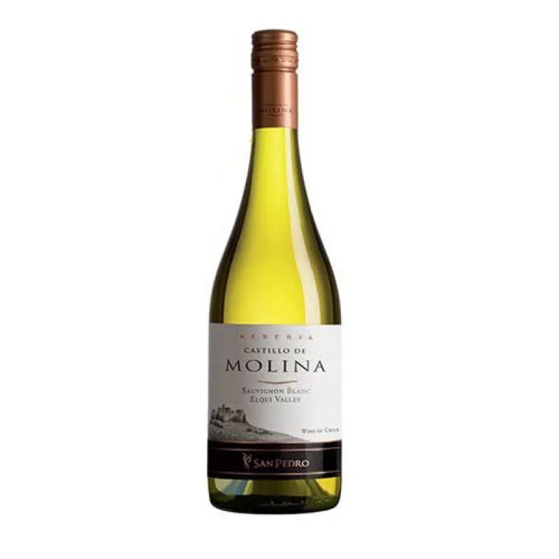 Vang Castillo De Molina Sauvignon Blanc