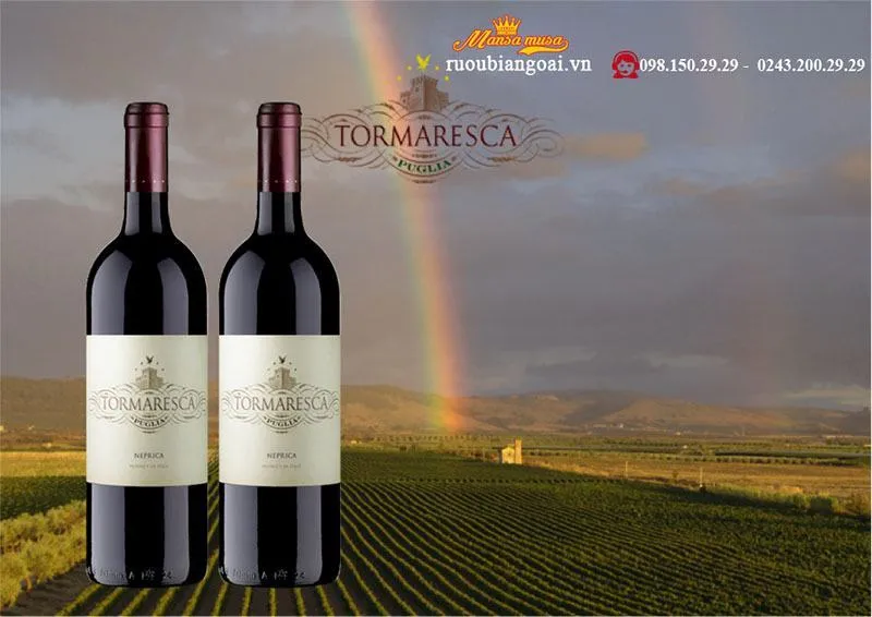 Vang Ý Tormaresca Neprica