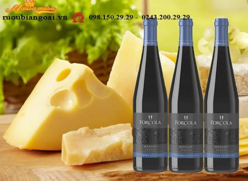 Rượu vang Forcola Merlot - Rượu vang Ý