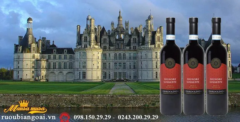 Vang Ý Signore Giuseppe Bardolino