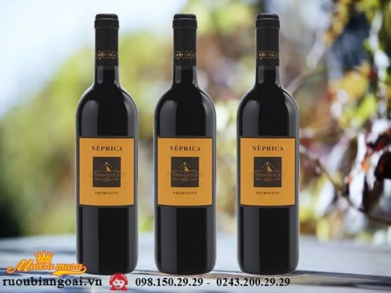 Vang Tormaresca Neprica Primitivo - Rượu vang Ý 