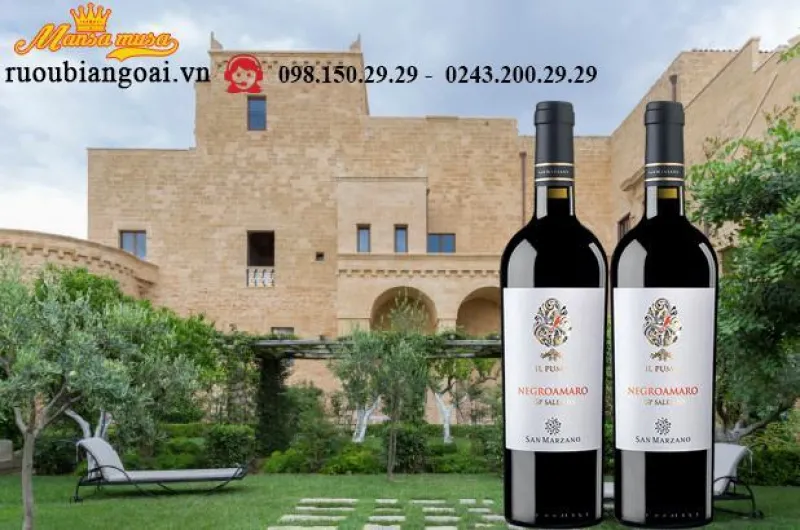 Rượu Vang IL Pumo Negroamaro - Rượu Vang Ý 