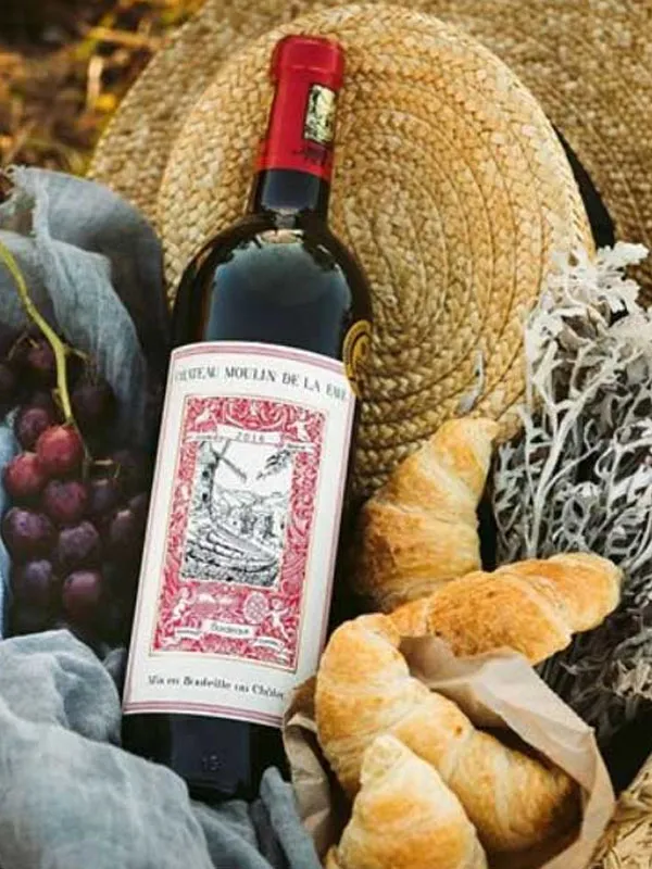 rượu vang pháp chateau moulin de la faye