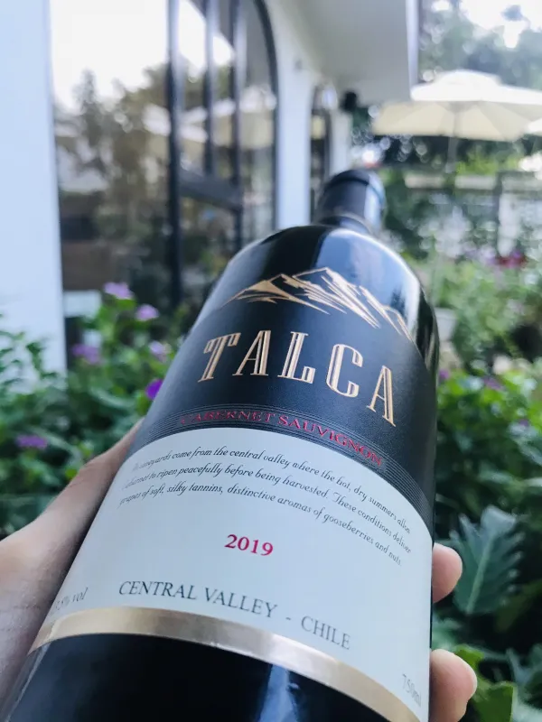 Rượu vang talca-1