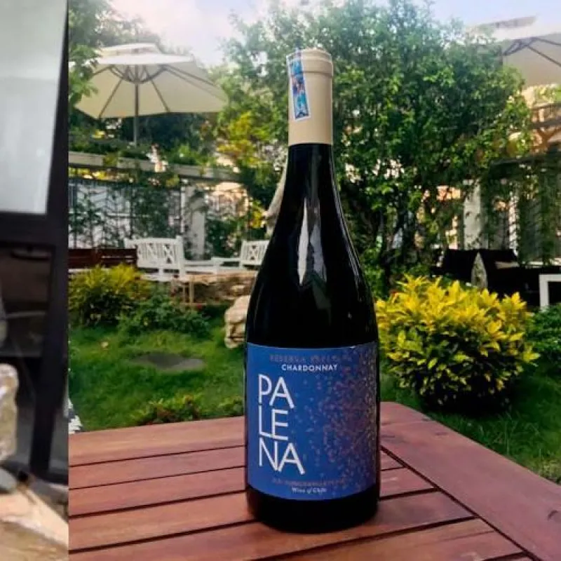 rượu vang palena reserva chardonnay-1