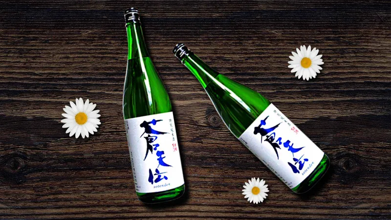 Sake Sotenden Tokubetsu Junmai 16% 720ml-1 Sake Sotenden Tokubetsu Junmai 16% 720ml-1
