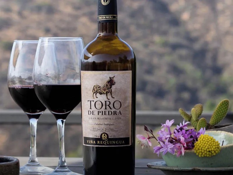 rượu vang chile toro de piedra gran reserve