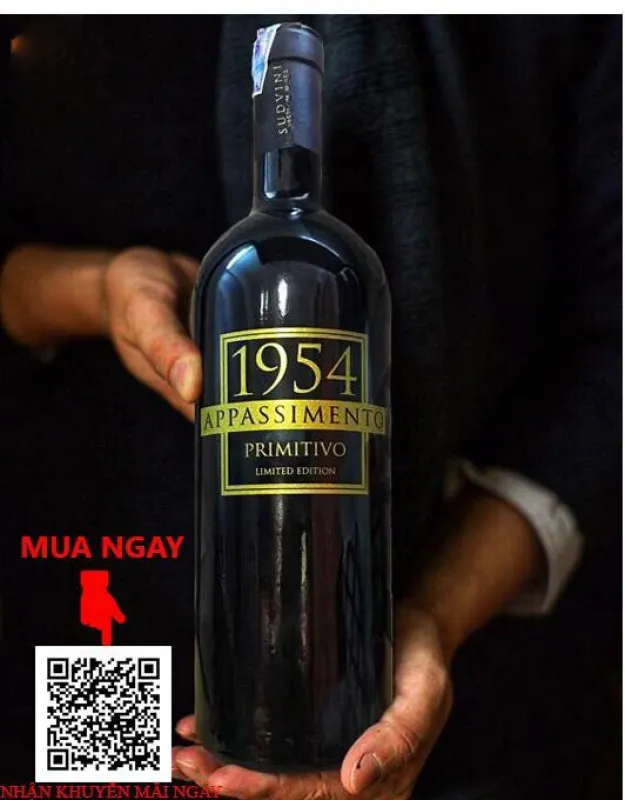 Rượu Vang 1954 Appassimento Primitivo