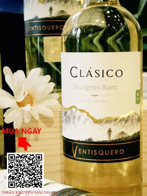 vang trắng ventisquero clasico sauvignon blanc 