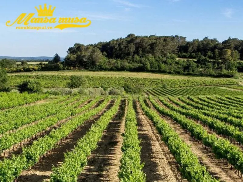 vùng santero - puglia 