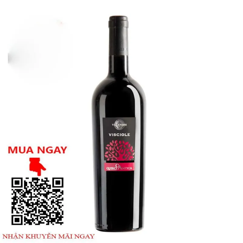 vang ngọt ý visciole querciantica