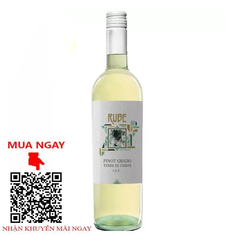 Rượu vang rube pinot grigio terre di chieti igt
