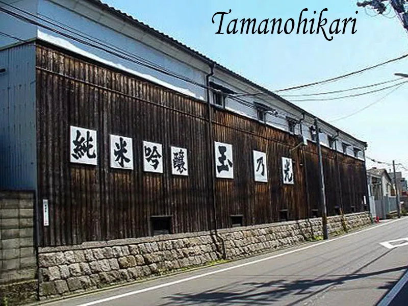 rượu sake junmai ginjo rinzen rượu sake junmai ginjo rinzen