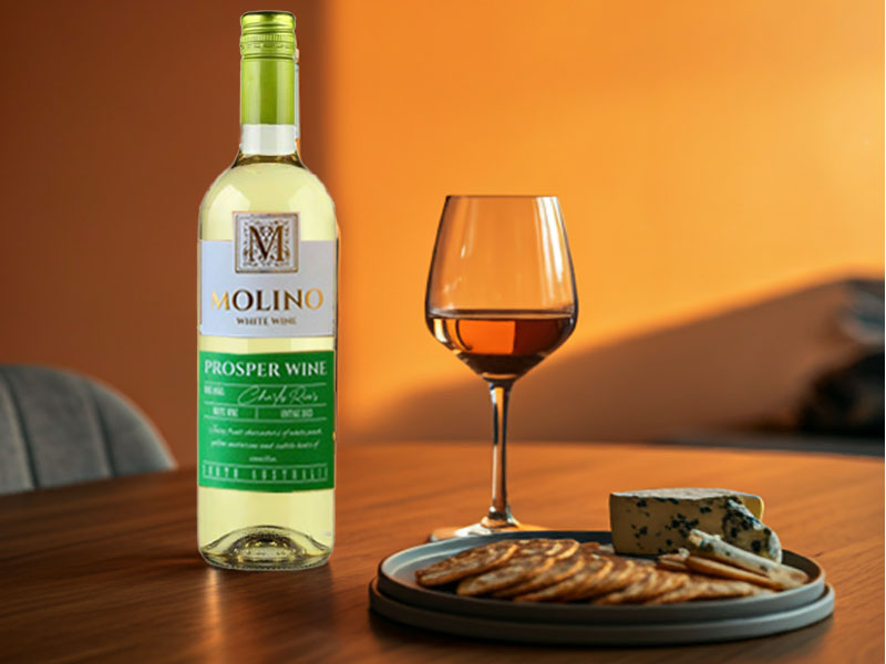 Rượu vang chile molino prosper wine