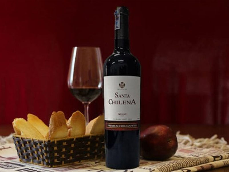 Rượu vang chile santa chilena