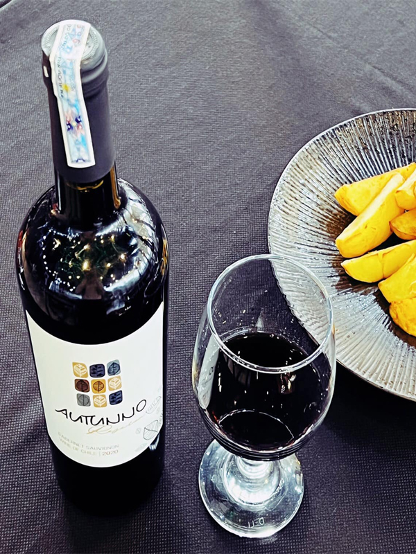 Rượu vang chile autunno reserva cabernet sauvignon
