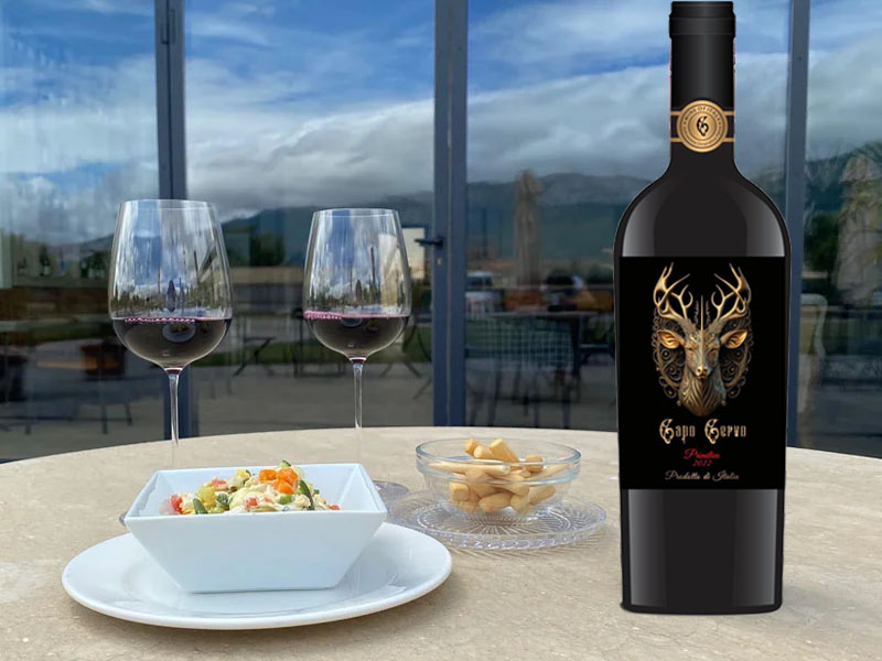 Rượu vang ý capo cervo primitivo 2022