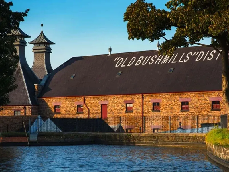 rượu bushmills black bush (hộp quà tết 2025)