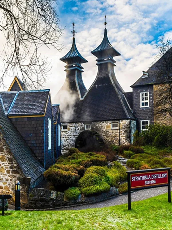 rượu chivas royal salute 23 year old