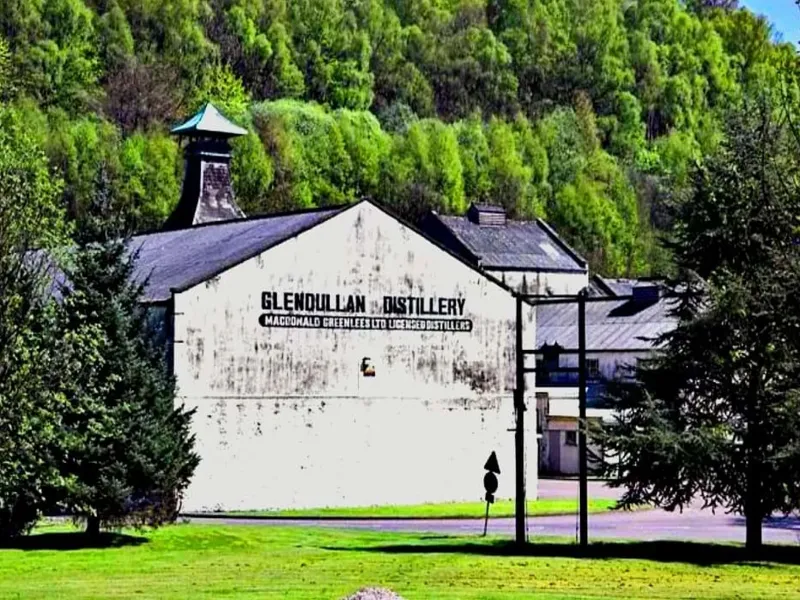 rượu singleton 19 năm - special releases 2021