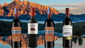 top 10 chai vang chile giá rẻ dưới 200k