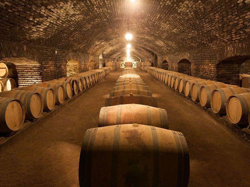 top 10 chai vang chile giá rẻ dưới 200k