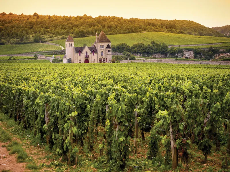 rượu vang veuve du vernay