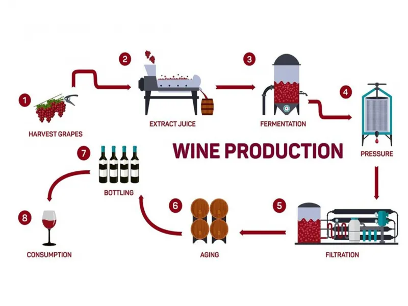 rượu vang château foncrose rouge