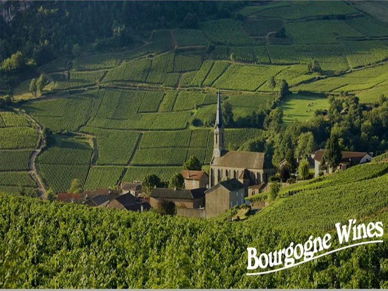 rượu vang pol remy ice