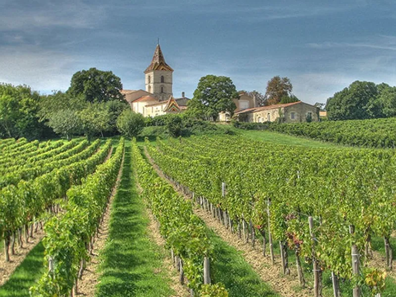 rượu vang rivage blanc