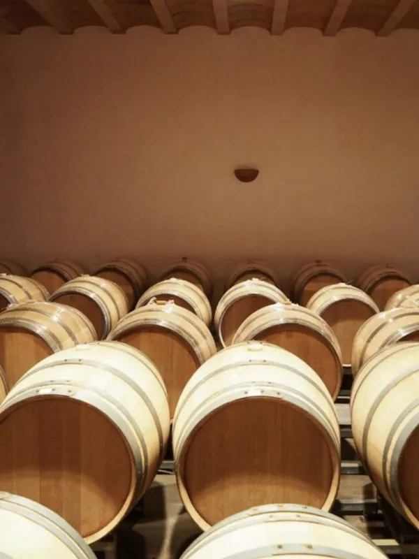 rượu vang rivage blanc