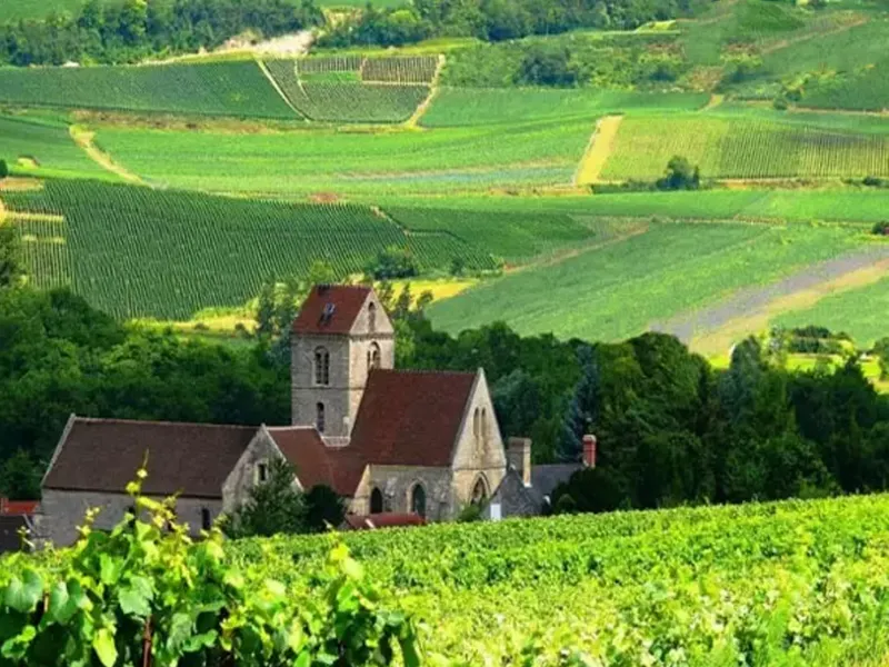 rượu vang veuve du vernay ice