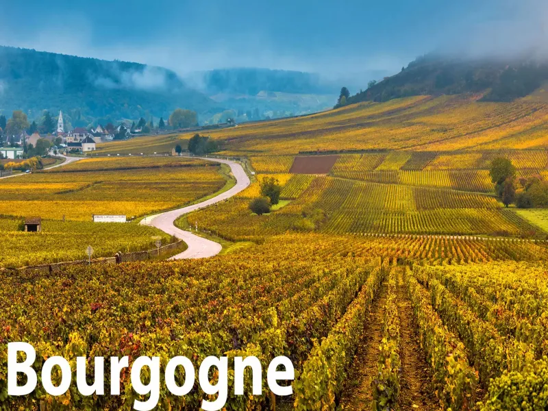 rượu vang veuve du vernay ice rosé