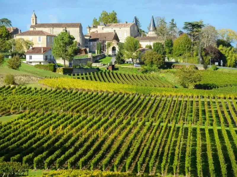 rượu vang château cazaumartin