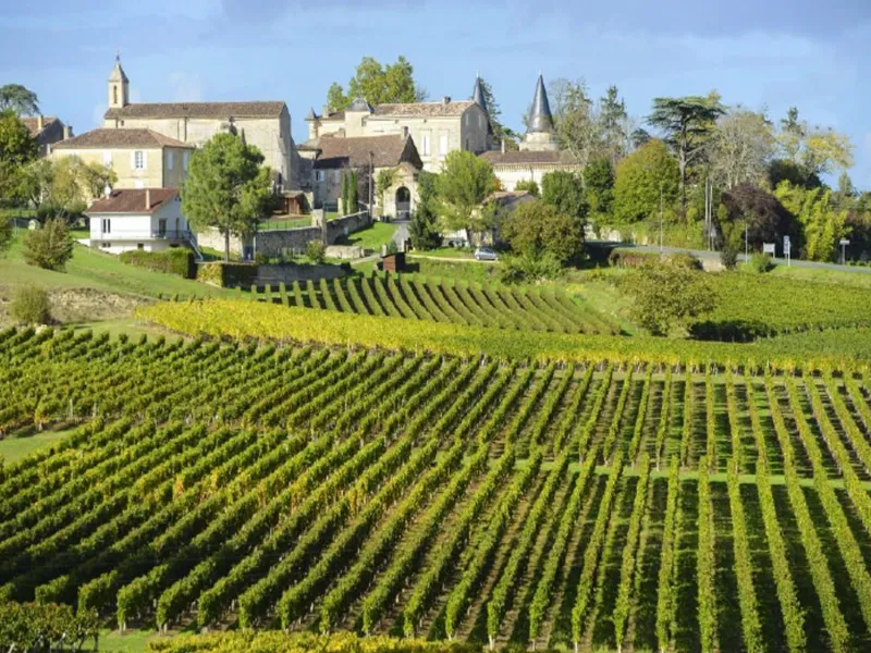 rượu vang château la fleur bellevue rouge