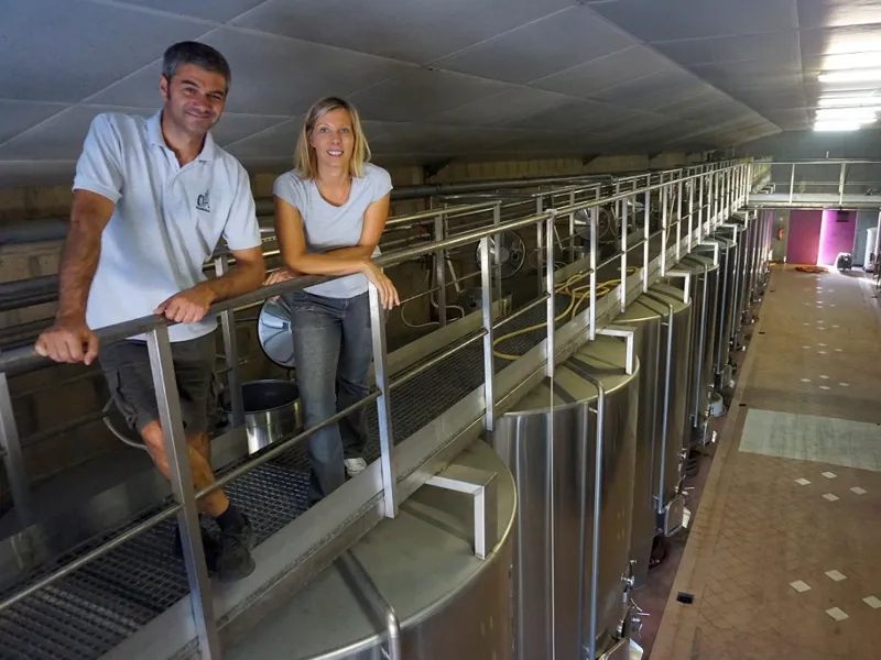 rượu vang château la rose bellevue blanc