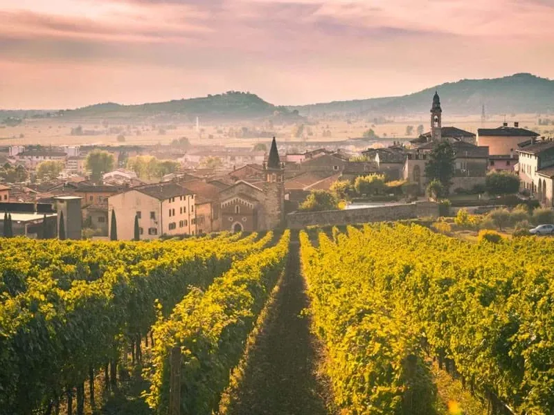 rượu vang đỏ ruffino 1877 chianti