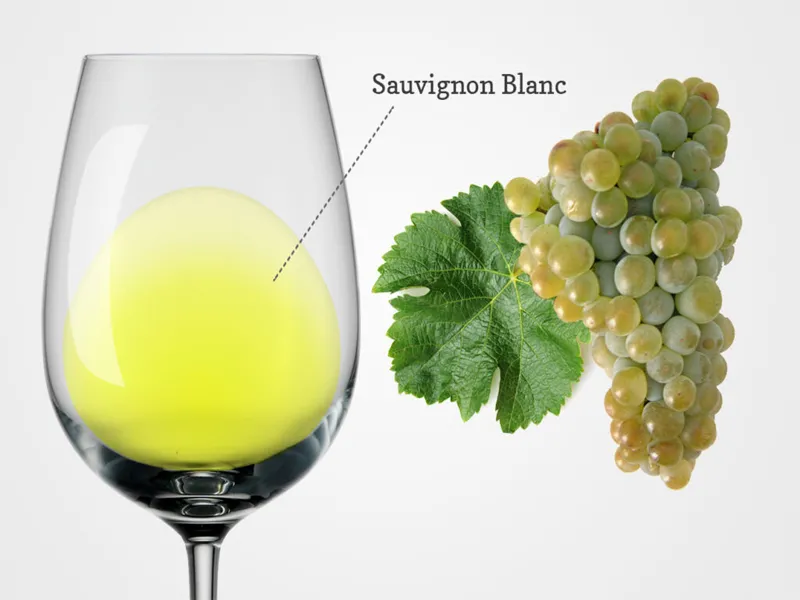 rượu vang pháp claire de jour sauvignon blanc