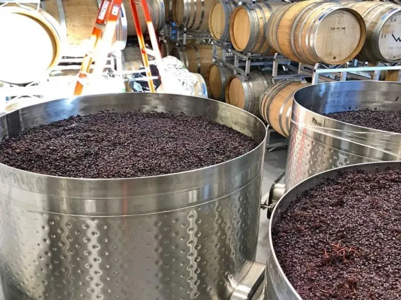 rượu vang bịch la chevalerie maison genestet