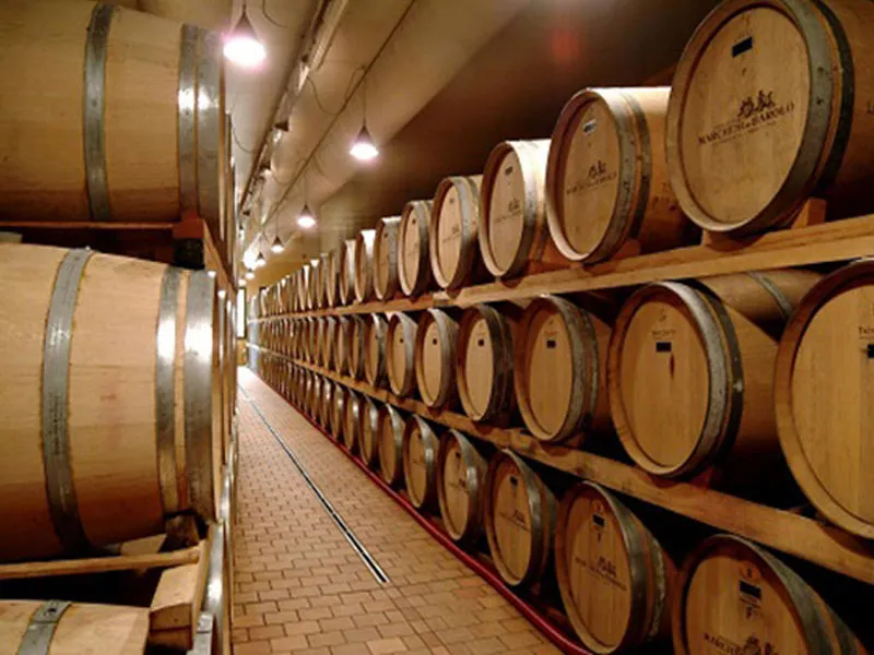 rượu vang castillo de monseran garnacha