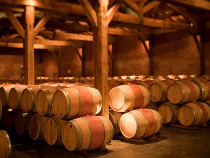 rượu vang chateau citran bordeaux superieur