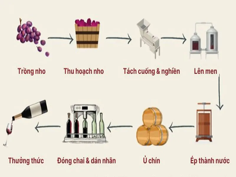 rượu vang vignerons ardechois les classiques cabernet sauvignon