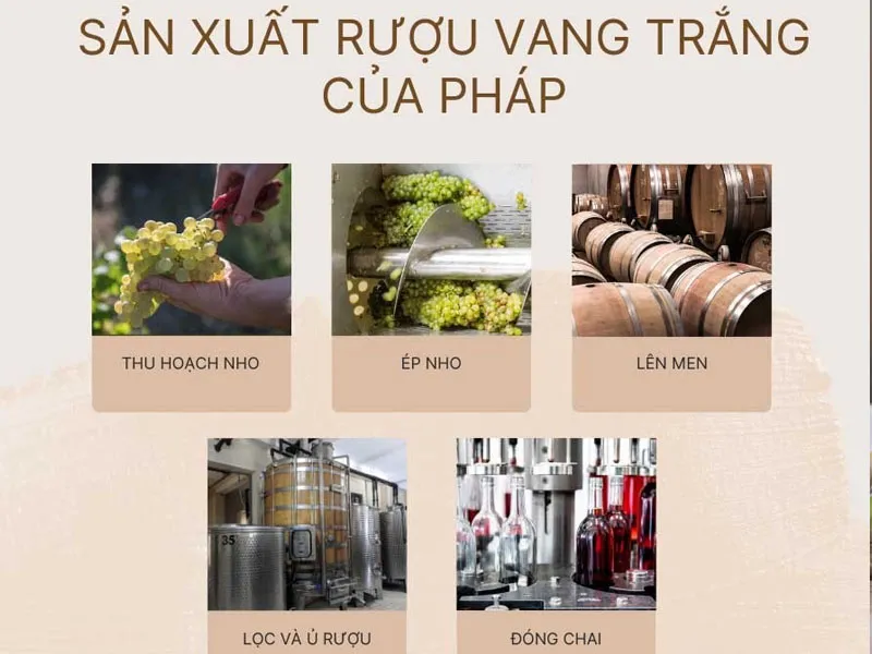 rượu vang vignerons ardechois les classiques sauvignon blanc