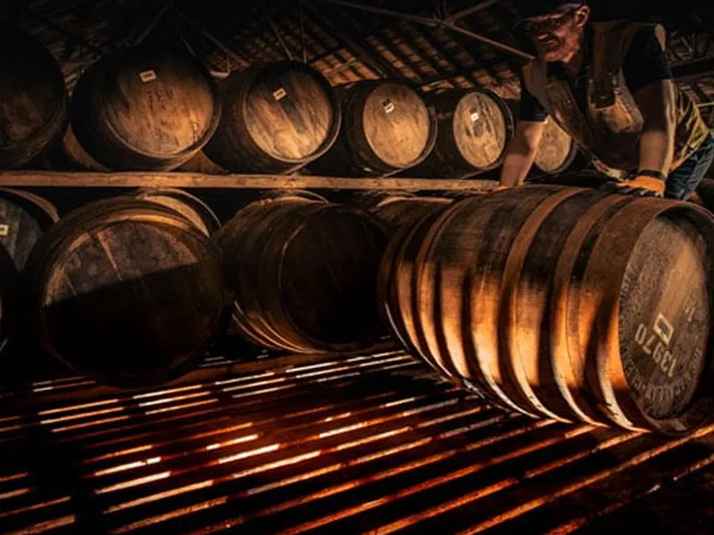 rượu whiskey macallan estate