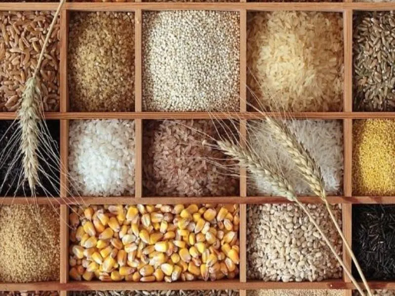 rượu whisky springbank 25 năm