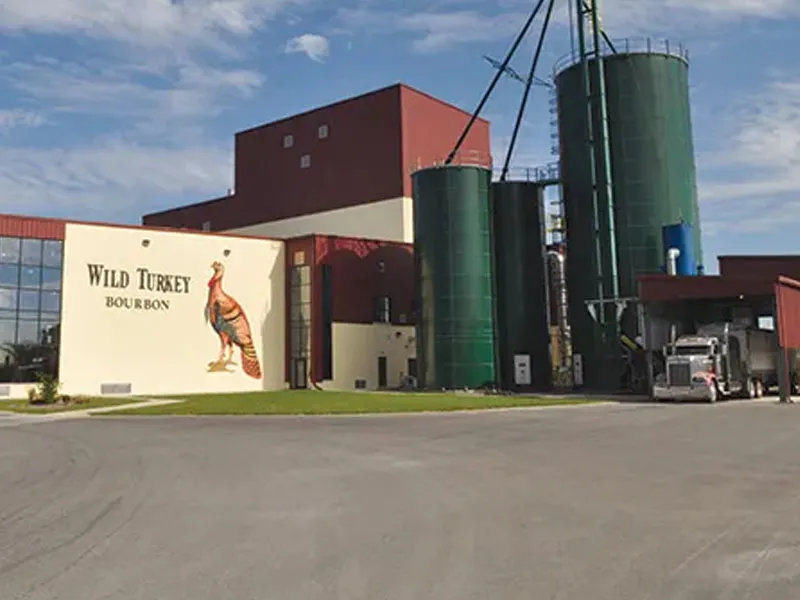 rượu whisky wild turkey 101