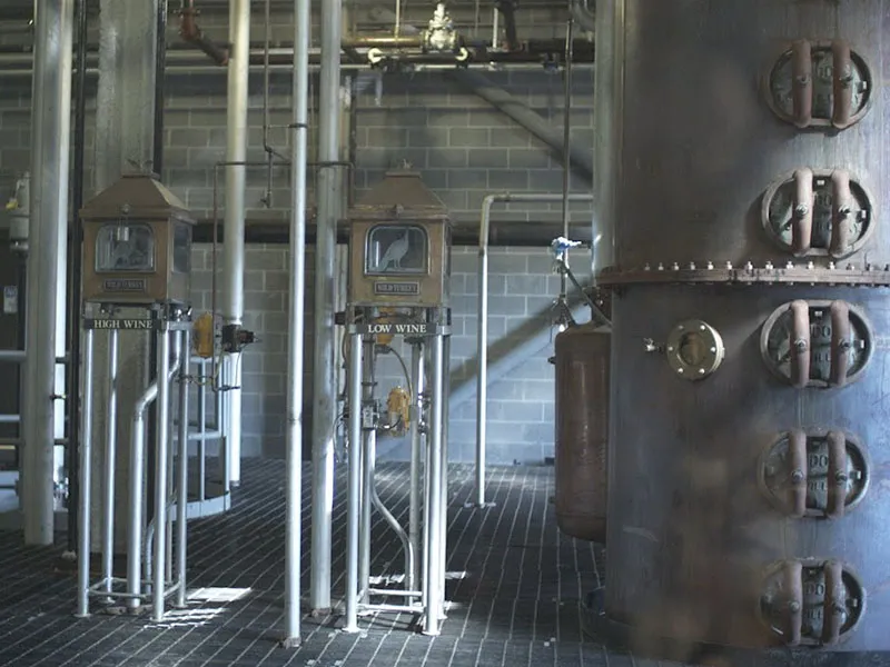 rượu whisky wild turkey 81