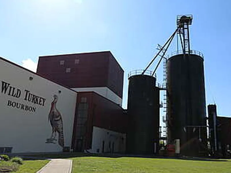 rượu whisky wild turkey rare breed