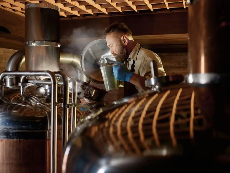 rượu whisky wild turkey rye