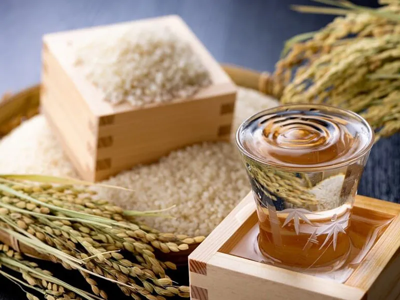 rượu sake hakurakusei tokubetsu junmai rượu sake hakurakusei tokubetsu junmai